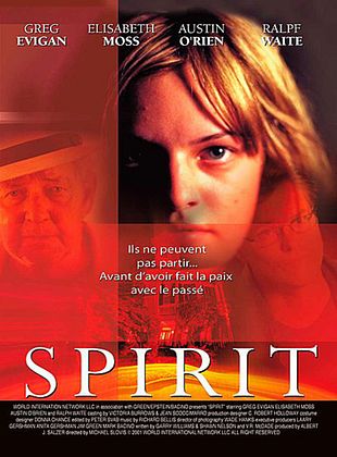 Filmposter von Im Schatten der Geister